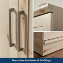 Sauder HomePlus Two Door Storage Cabinet/Pantry Cabinet, Pacific Maple Finish by CozyNest Decor