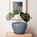 10 Inch Plant Pot - Ceramic Planter for Indoor Plants Large Plant Pot with Drainage Hole and Saucer Round Outdoor Planter Modern Flower Pot for Home Decor Gray by GreenHaven Gardens