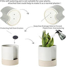 Nihow Self Watering Plant Pot: 8 Inch Ceramic Planter with Drainage Hole & Water Storage Plus for Indoor & Outdoor Plants - Cylinder Round Flower Pot for Succulent/Herbs/Violets - White & Brown by CozyNest Decor