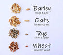 Simple Cat Grass Blend, 100% US Organic, 4 Popular Seeds: Wheat, Barley, Oats, and Rye Mix Combo, Show Your Love with a Healthy Pet Snack Treat (4 Ounce (~3200 Seeds)) by GreenHaven Gardens