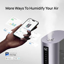 Dreo 6L Humidifiers for Bedroom, Smart Warm & Cool Mist for Large Room, 60Hr Quiet Runtime for Baby, Plant, Humidity Sensor, Indicator Light, 12H Timer, Google/Alexa, Purple by TinyTreasures Baby Boutique