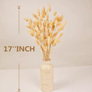 120 PCS Bunny Tails Dried Flowers, Dried Pampas Grass Bouquet, Boho Table Decor, White Pampas Grass Small, Dried Bunny Tails, Pampas Grass for Wedding, Home, Rustic Party, Baby Shower Decorations by CozyNest Decor
