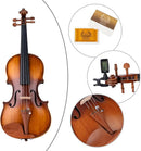 Rhythm Violin Set for Beginners,Acoustic Violins Starter Kit Package for Student,Beginners Fiddle with Hard Case, Rosin, Shoulder Rest, Bow, and Extra Strings (MATTE, Full) by TinyTreasures Baby Boutique