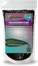 Philodendron Planting Mix - Provide Your Plants with The Best Soil Medium - 4 QUARTS by GreenHaven Gardens