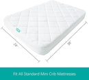 Zippered Mini Crib Mattress Protector,Waterproof Playard Mattress Encasement, Breathable and Absorbent, 6 Sides Fully Encased Pack N Play Mattress Cover. by TinyTreasures Baby Boutique