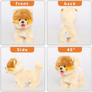 Electronic Walking Pomeranian Stuffed Dog Toy, Realistic Interactive Puppy Robot Pet Dog, Walking, Barking,Wagging Tail & Talking,Present Pet Gifts for 3+ Year Boys Girls by TinyTreasures Baby Boutique