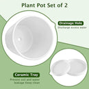 EFISPSS Ceramic Plant Pots, 5+6 Inch Pots for Indoor Plants, Planters with Drainage Holes and Tray, Modern Flower Pots Gardening Home Desktop Office Windowsill Decoration Gift Set of 2 - White by GreenHaven Gardens
