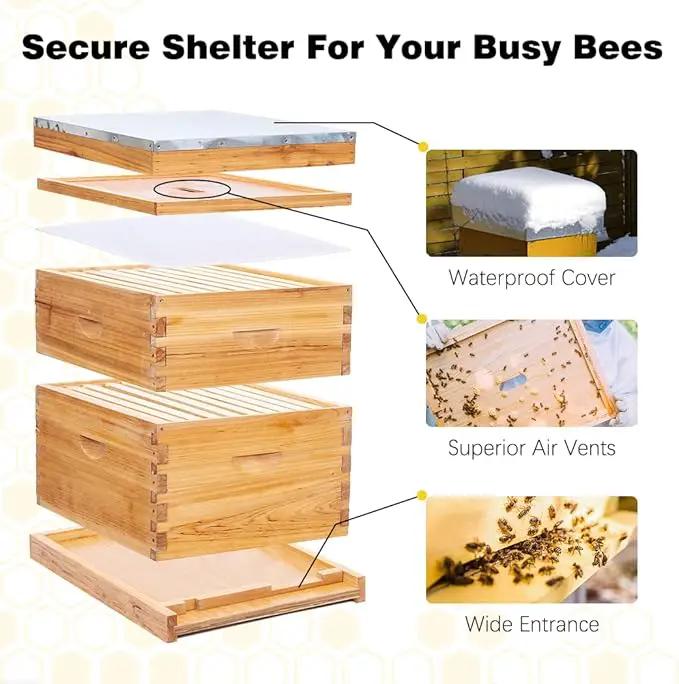 POLLIBEE 10 Frame Bee Hive,Beeswax Coated Beehive Kit for Bee Keeper,Complete Beehive Include 1 Deep Brood Bee Box and 1 Medium Bee Hive Box with Frame and Foundation, photo 2 of 7