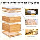 POLLIBEE 10 Frame Bee Hive,Beeswax Coated Beehive Kit for Bee Keeper,Complete Beehive Include 1 Deep Brood Bee Box and 1 Medium Bee Hive Box with Frame and Foundation by GreenHaven Gardens