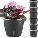 Self Watering Pots for Indoor Plants, 6-Pack 6.7'' Self Watering Planter with Drainage Holes, Small African Violet Pots with Water Indicator, Clear Wick Orchid Pot, Grey Gold by CozyNest Decor