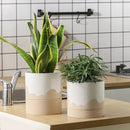 Nihow Self Watering Plant Pot: 6 Inch Ceramic Planter with Drainage Hole & Water Storage Plus for Indoor & Outdoor Plants - Cylinder Round Flower Pot for Succulent/Herbs/Violets - White & Nature by CozyNest Decor