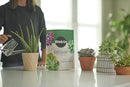 Miracle-Gro Succulent Potting Mix - Fertilized Soil with Premium Nutrition for Indoor Succulents, 4 qt. (2-Pack) by GreenHaven Gardens