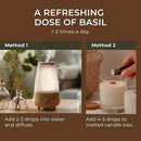 Gya Labs Holy Basil (Tulsi) Essential Oil - 0.34 Fl Oz - 100% Pure Natural Holy Basil Oil for Diffuser & Candle Making Scent by CozyNest Decor