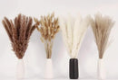 Dried Pampas Grass Decor, 100 Stems Pampas Grass Contains Bunny Tails Dried Flowers, Reed Grass Bouquet for Wedding Boho Flowers Home Table Decor, Rustic Farmhouse Party (17", White and Brown) by CozyNest Decor