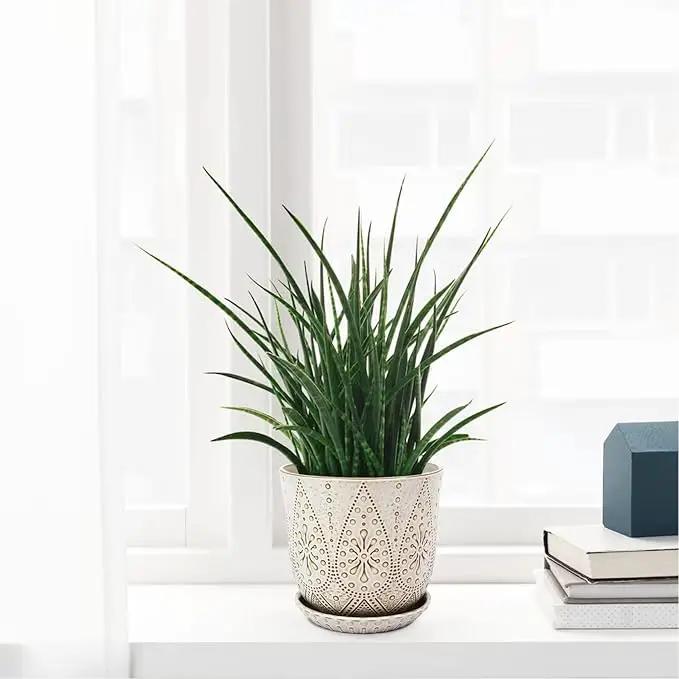 Gepege 8 Inch Plant Pot, Creamy White Ceramic Planter with Drainage Holes and Saucers for Plants Indoor and Outdoor Flower Pot, photo 6 of 7