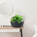 13 inch Large Hanging Planters Plant Pots for Outdoor Indoor Plants with Drainage Holes and Chain, 2 Pack Round Hanging Flower Pots for Garden Home Porch Decor, Speckled Black by CozyNest Decor