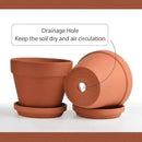 INGOFIN Terracotta Pots Set with Saucer - 2-Pack Ceramic Clay Planters with Drainage Hole, Garden Flower Succulent Pots with Tray for Indoor Outdoor Plants, 8 inch, Set of 2 by CozyNest Decor