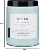 M&SENSE Candle Oceanic Breeze Scented, 19.4oz 110 Hour Long Lasting 2 Wick Pineapple & Mango Scent Natural Soy Candles for Home Scented for Stress Relief & Women/Men by CozyNest Decor