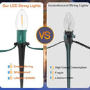 C9 Christmas String Lights for Pathway , 26FT LED 20 Clear Lights with 20 Stakes, Waterproof Shatterproof 2700K Warm White Linkable Walkway Lights for Outdoor Indoor Xmas Driveway Yard Garden Decor by GreenHaven Gardens