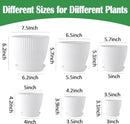 7.5/6.5/5.5/4.9/4.2/3.5 Inch Plant Pots, Plastic Flower Pots with Drainage Holes and Plate, Indoor/Outdoor Plant Planters with Different Size, 6 Pack Durable Pots for Plants, White by GreenHaven Gardens