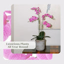 Faux Pink Orchid Plant, Premium Artificial Indoor Flower Display Stands 24”, Beautiful Sculptural Blooms That Lasts Forever, Grey Planter Pot Included by CozyNest Decor