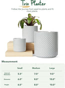 LE TAUCI Ceramic Pots for Plants, 6+8+10 Inch Planters for Indoor Plants, Plant Pots Indoor for Home and Office, Mid-Modern Century Flower Pots with Drainage Hole and Silicone Plug, Glaze Star Gray by GreenHaven Gardens