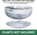G EPGardening 8in Marble Pattern Large Round Succulent Planter Pot Modern Flower Pot Indoor and Outdoor Planter with Marble Tray