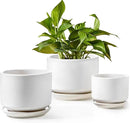 LE TAUCI Plant Pots Indoor, 4.3+5.3+6.8 Inch, Set of 3, Ceramic Planters with Drainage Hole and Saucer, Modern Indoor Flower Pot with Hole Mesh Pad, Gifts for Mom, Classic White by GreenHaven Gardens