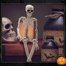 DINESIL 5 Packs Posable Halloween Skeleton, Full Body Halloween Skeleton with Movable Joints, 16" Hanging Spooky Skeletons for Halloween Haunted House Party Home Props Decorations by GreenHaven Gardens