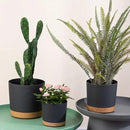 ZMTECH Plant Pots, Set of 6 6.5'' Self Watering Plastic Planter with Drainage Hole and Saucer,Modern Decorative Flower Pot for Indoor Outdoor House Plants, Succulents, Flowers - Dark Gray by GreenHaven Gardens