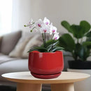 G EPGardening Ceramic Planter 7 Inch - Flower Pots for Indoor Plants, Round Planter with Drainage and Ceramic Tray, Modern Plant Pot, Bathroom Decor, Teacher Gifts, Red by GreenHaven Gardens