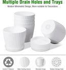 6 Inch Plant Pots Bulk, 6 Pack Plastic Planters with Drainage Holes and Saucers for Indoor Outdoor House Plants and Flowers, White by GreenHaven Gardens