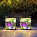 Starsoul 2 Pack Hanging Solar Lantern Outdoor Waterproof Glass Hummingbird Decorative Solar Lights for Outside Garden Yard Table Patio Decor by GreenHaven Gardens