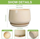 G EPGardening 4 inch Plant Pots - Ceramic Planter with Drainage Hole & Saucer, Small Plant Pots for Indoor Outdoor, Round Succulent Pot, Modern Decorative Flower Pot, Desk Decor, Garden Gifts, Beige by GreenHaven Gardens