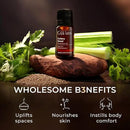 Gya Labs Celery Seed Essential Oil for Diffuser - 0.34 Fl Oz - 100% Pure Natural Celery Seed Oil for Skin & Face, Massage, Candle Making Scent by CozyNest Decor