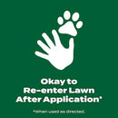 Scotts Green Max Lawn Food, Lawn Fertilizer Plus Iron Supplement for Greener Grass, 10,000 sq. ft., 33.33 lbs. by GreenHaven Gardens