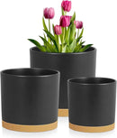8/7/6 inch Flower Pots, 3 Pack Cylinder Plant Pots for Outdoor Indoor Plants, Decorative Plastic Planters with Drainage Holes and Saucers for Garden House Plants, Black with Brown by GreenHaven Gardens