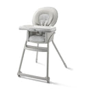 Graco Table2Table LX 6-in-1 Highchair, Willow with Infant Head Support & One-Hand Removable Tray by TinyTreasures Baby Boutique