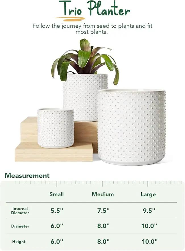LE TAUCI 6+8+10 Inch Plant Pots Indoor, Ceramic Planter Pots for Plants, Raised Dots Flower Pots Indoor for Home and Office, Mid-Modern Century Pots with Drainage Hole and Plug, Glaze Arctic White, photo 5 of 6