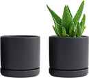 D'vine Dev Set of 2 Plants Pot, 4.6 Inch Ceramic Planter Pot for Plants with Drainage Hole and Saucer, Black, 94-V-B-2 by GreenHaven Gardens