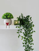 Face Planter Pots Head Cute Resin Cactus for Indoor and Outdoor Face Vase Home Decor Bookshelf Decor Unique Loving Heart Succulent Pots by GreenHaven Gardens