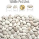 5 Lbs River Rocks for Plants,0.4-1.2 Inch Decorative Ornamental Pebbels, High Polished Stones for Garden Landscaping, Smooth Gravel Filler for Outdoor Plants, Succulents, Fish Tank and Vases, White by GreenHaven Gardens