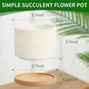 ZOUTOG Plant Pot 4 Inch, Ceramic Succulent Pots with Drainage Hole & Bamboo Tray, Pack of 6 White Small Flower Pots for Home, Office, Indoor or Outdoor Decor - Plants Not Included by GreenHaven Gardens