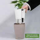Dexceder 6x7 Self Watering Planter Indoor Outdoor, High Gloss Table Flower Plant Pot with Water Level Indicator (Taupe) by CozyNest Decor