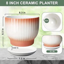 8 Inch Plant Pot, Ceramic Planter with Drainage and Saucer, Ceramic Pots for Plants, Indoor Plant pots,Ceramic Flower pots(Orange+ White, Plants NOT Included) by GreenHaven Gardens