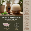 Gya Labs Peppermint Oil for Diffuser & Aromatherapy - 100% Pure Natural Peppermint Mint Essential Oils for Skin, Hair, DIY, Self-Care, Candle Making - Cooling, Minty Scent (1.02 Fl Oz) by CozyNest Decor
