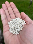LitChicks’ Calcified Seaweed for Laying Chickens - Crushed Oyster Shell Alternative - Highly Digestible - Single Ingredient - Helps with Egg Laying & Flock Health. by GreenHaven Gardens