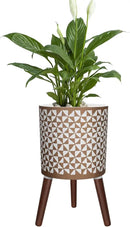 10 Inches Plant Pots with Wood Stand Large Modern Standing Planters for Indoor Mid Century Flower Pot with Drainage Holes Big White & Gold Planters for Living Room, Office, Garden or Balcony by GreenHaven Gardens