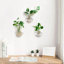 Mkono Wall Hanging Planter Propagation Station Glass Flower Vase for Hydroponics Plants, Bathroom, Home Office Living Room Decor Gift, Oblate Set of 3