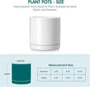 vancasso Ceramic Plant Pots, 6.25 Inch Ceramic Pot for Plants, Planters Pots for Indoor Plants with Drainage Holes, Flower Pot for Indoor House Plant, White by CozyNest Decor